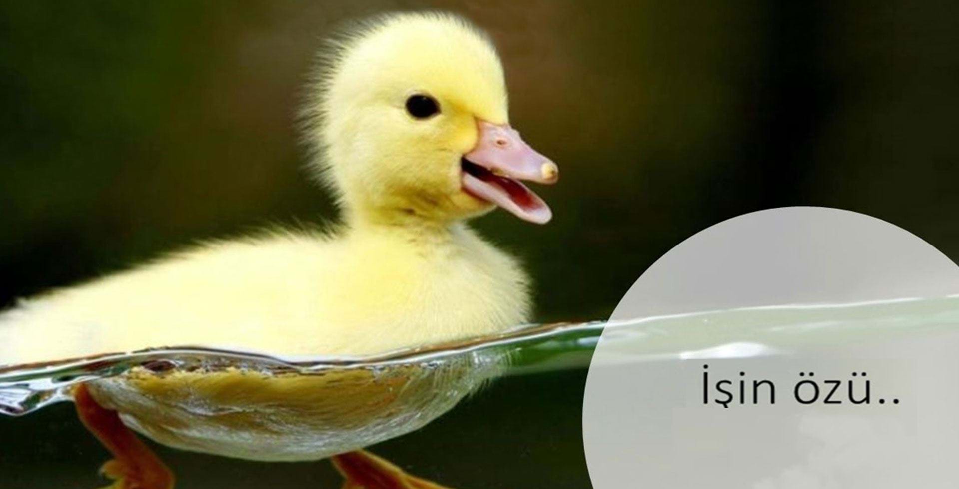 Operasyonel mükemmellik04